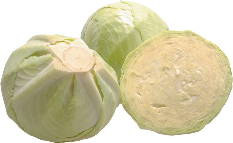 Unsere Heimat Weißkohl