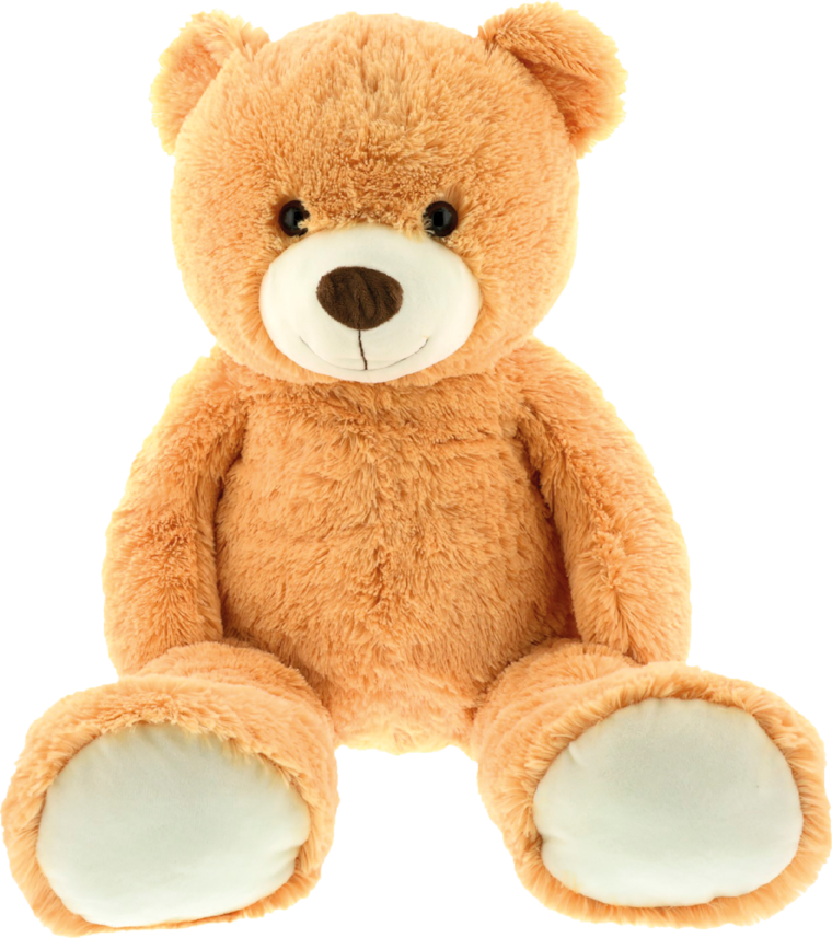Plüsch Teddy