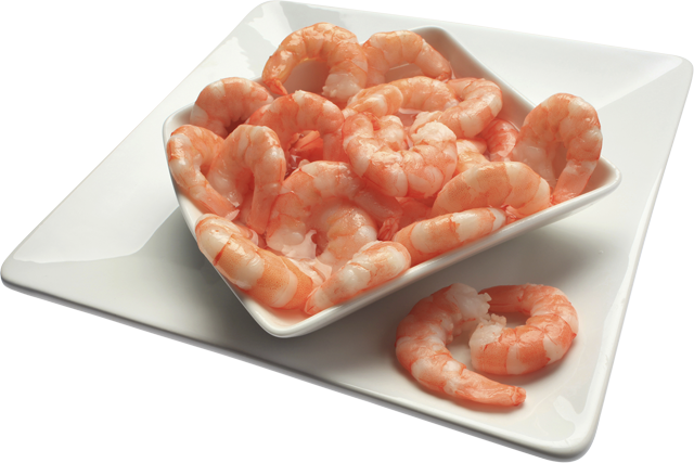 Jumbo-Garnelen 