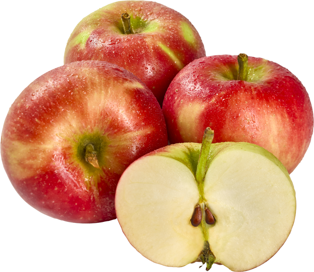 Tafelapfel rot