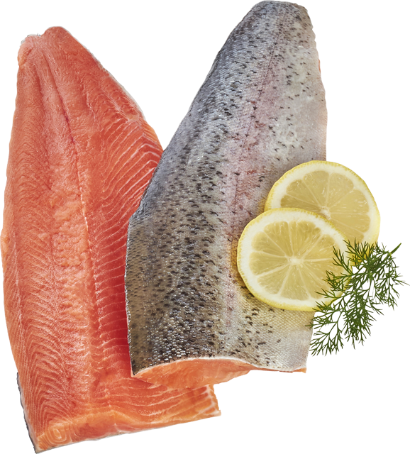 Rotfleischige Forellenfilets 