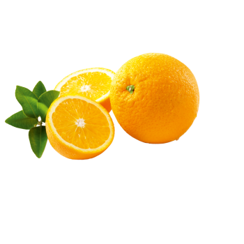 Spanien - EDEKA GENUSSMOMENTE - Orangen