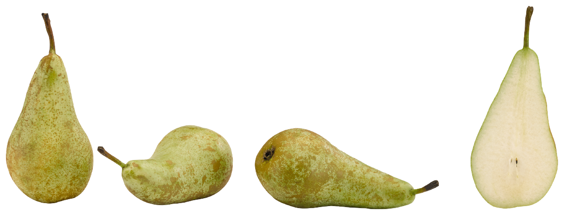 Tafelbirnen Abate Fetel