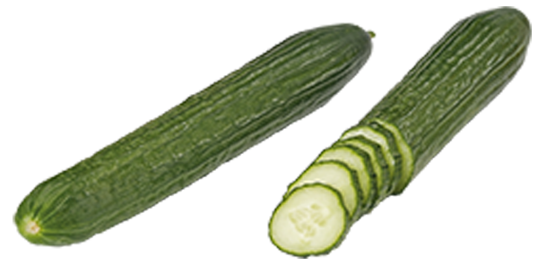 Spanien / Niederlande GUT&GÜNSTIG Salatgurken