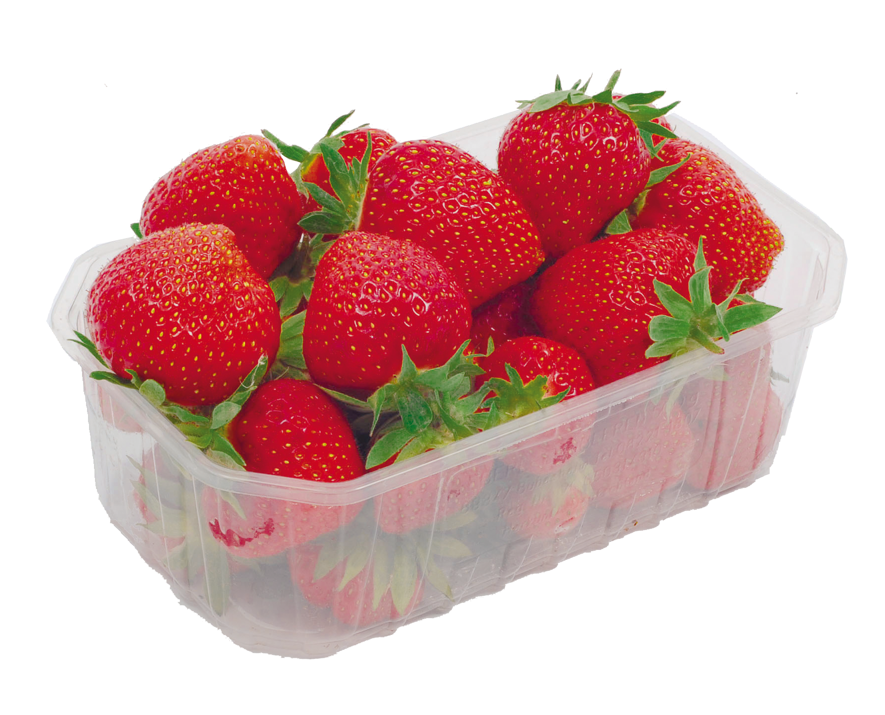 Erdbeeren