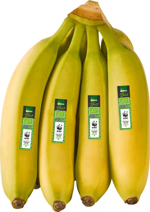 EDEKA Bio Bio-Bananen