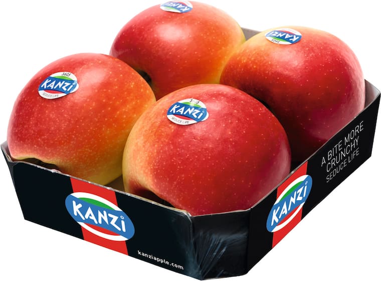 Kanzi Tafeläpfel rot