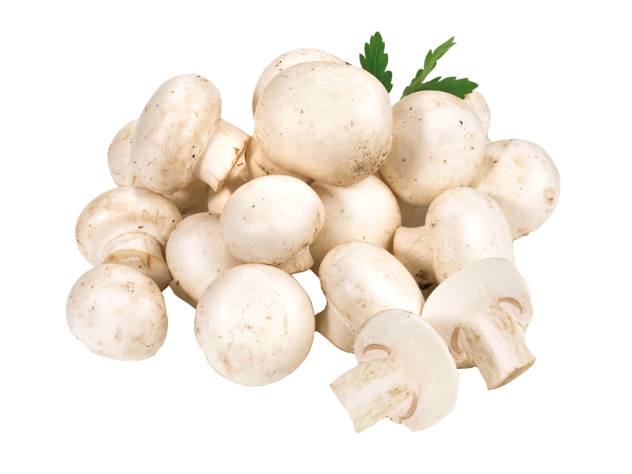 Gut&Günstig Champignons