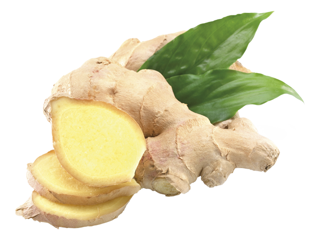 Bio Ingwer 