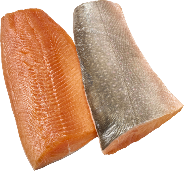 ²Isländische Seesaiblingsfilets 