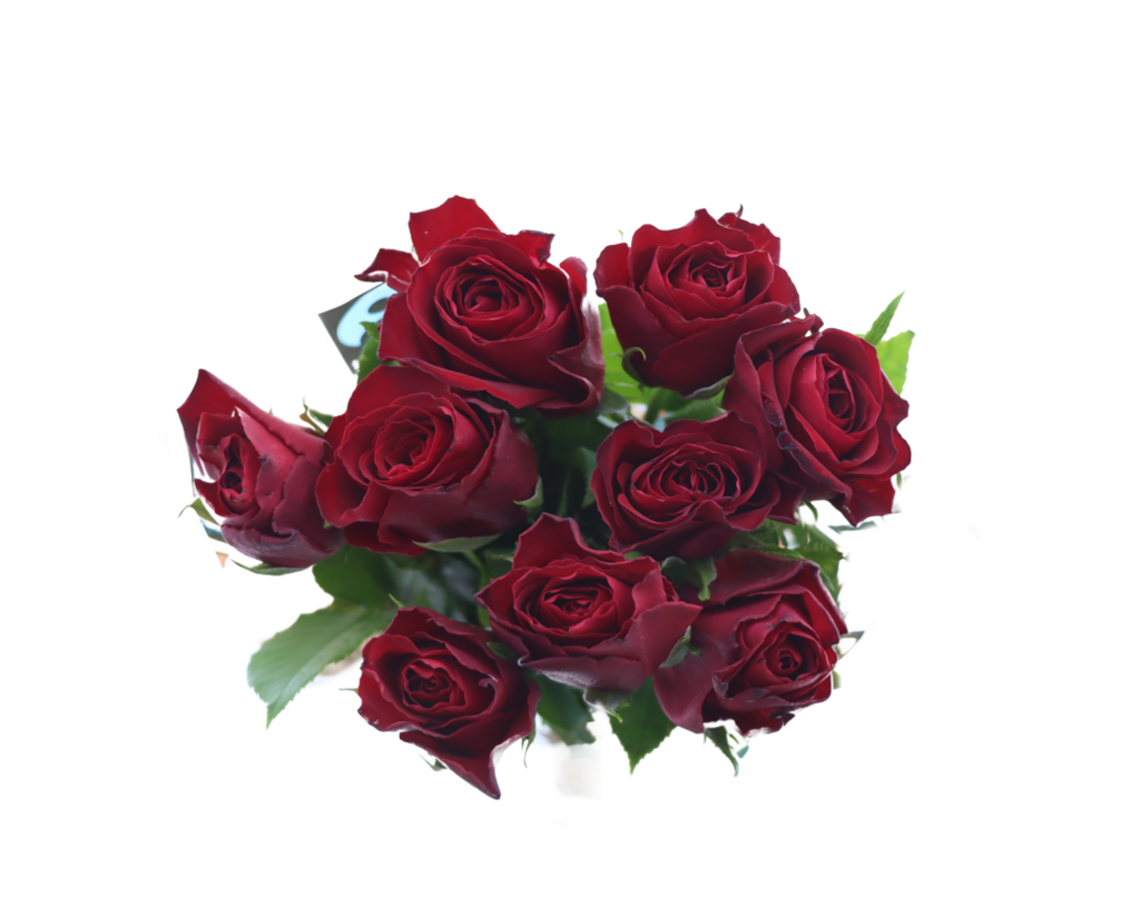 Lieblingsblume Rosen oder Bunter Strauß