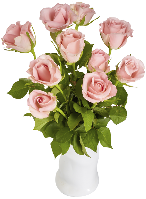 Ab Donnerstag erhältlich: ¹Lieblingsblume Rosenstrauß – 2 Bund²