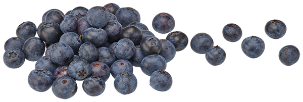 Deutschland Kulturheidelbeeren oder EDEKA Heimatliebe Himbeeren