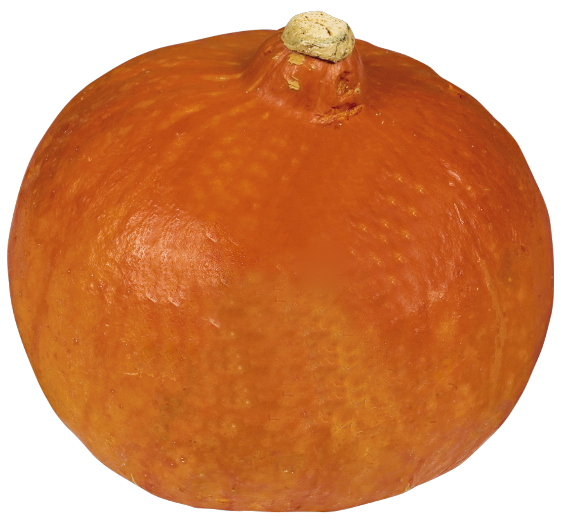 Speisekürbisse Hokkaido oder Butternut