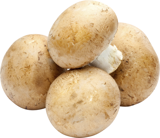 Ab Donnerstag erhältlich: Gut & Günstig Champignons braun 