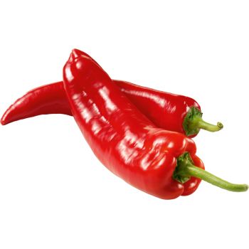 Marokko - Spitzpaprika