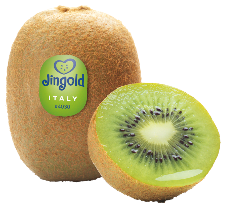 Jingold Kiwis Grün