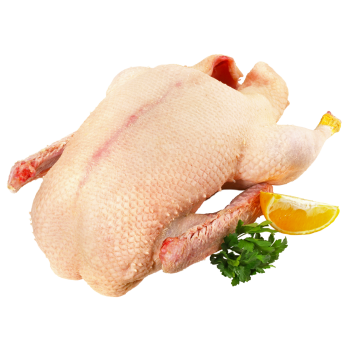 Claßen Festtagsgans