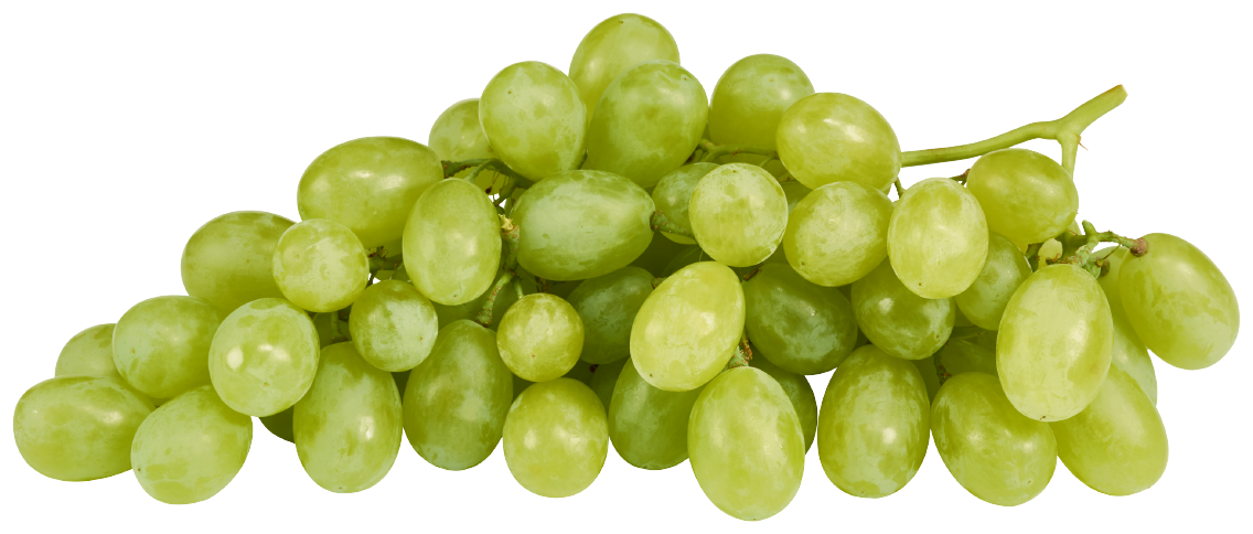 Tafeltrauben