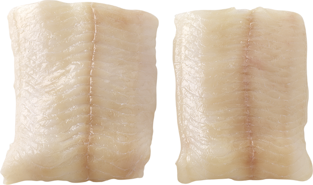 Frische Steinbeißerfilets