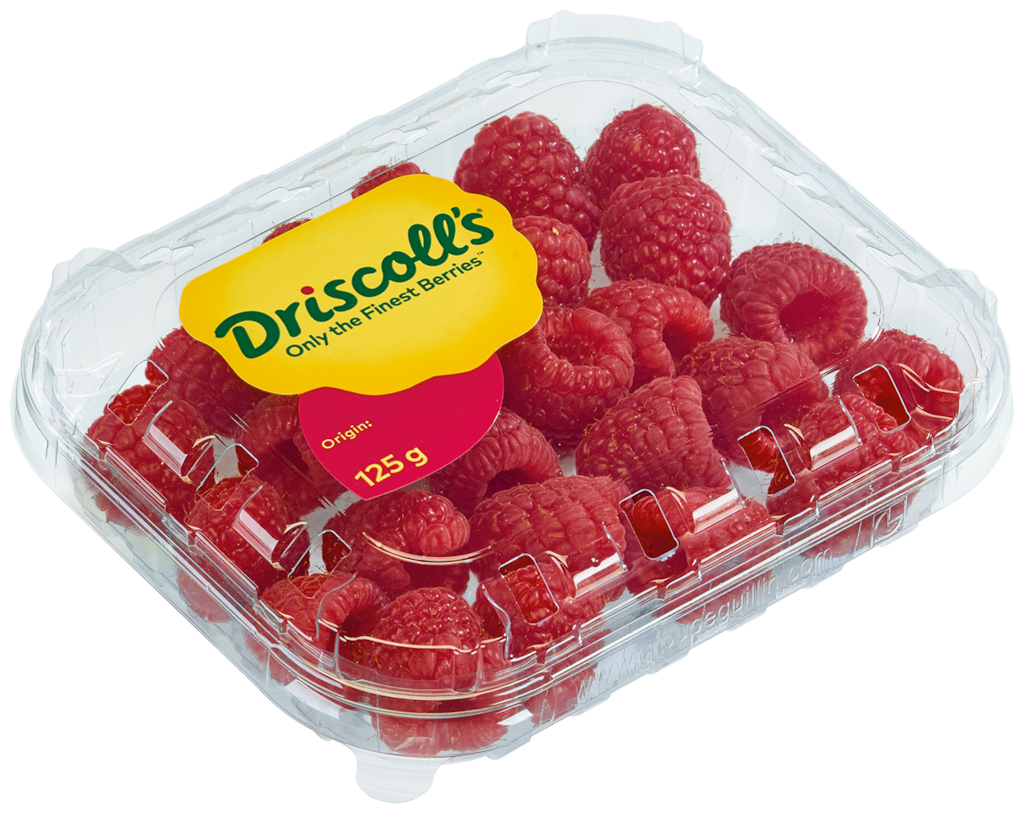 Marokko / Peru Dricoll's Himbeeren oder GUT&GÜNSTIG Heidelbeeren