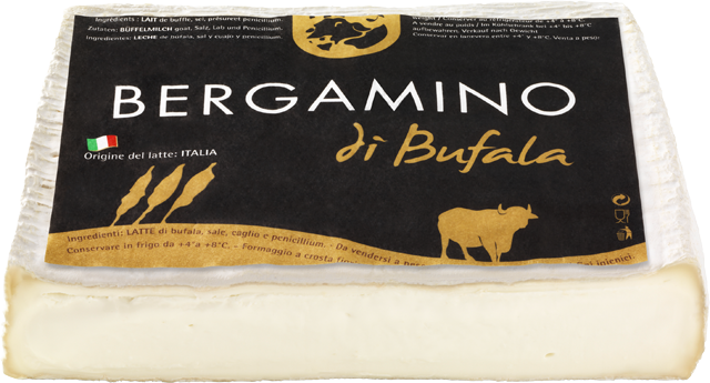 Bergamino di Bufala
