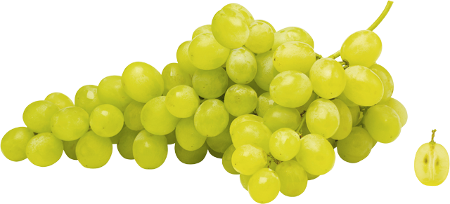 Trauben hell 