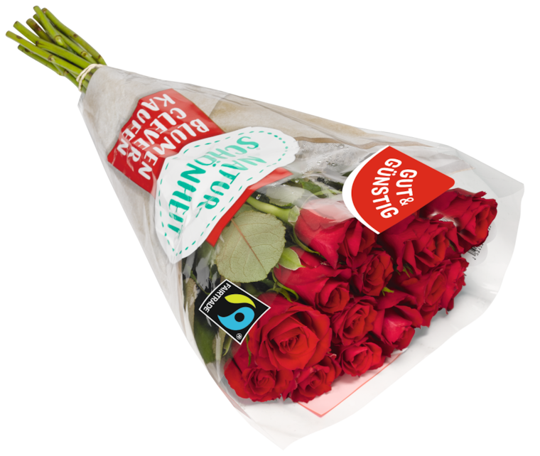 GUT&GÜNSTIG Moosrosen
