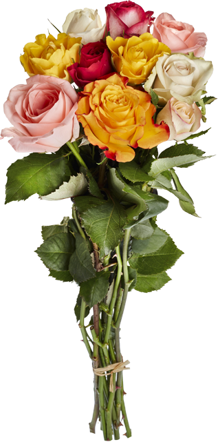 *EDEKA Lieblingsblume Rosenstrauß