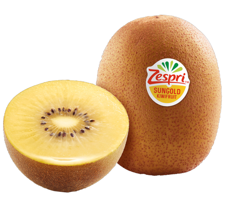 Zespri Kiwi Gold Jumbo oder Bio Jingold Kiwi Grün Jumbo