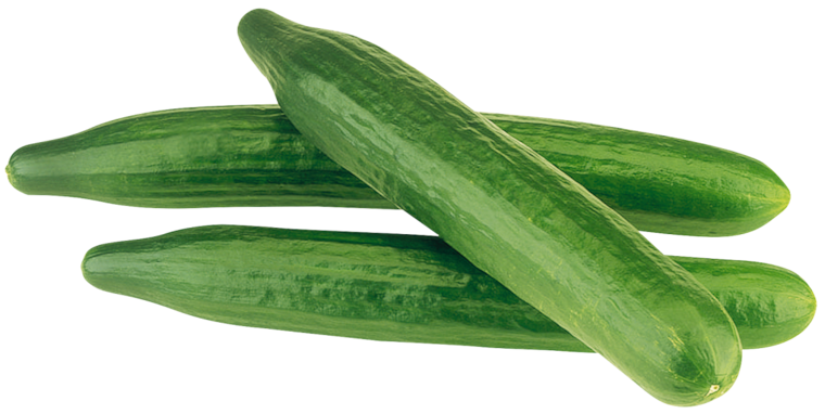 GUT&GÜNSTIG Salatgurke