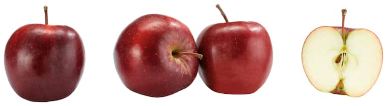 Tafeläpfel „Jonagold“ oder „Red Jonaprince“