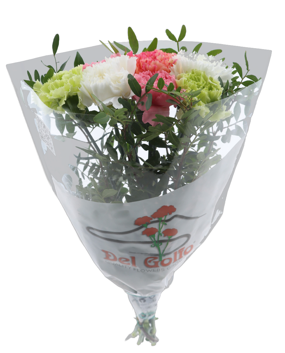 EDEKA Herzstücke Rosen oder Edelnelken