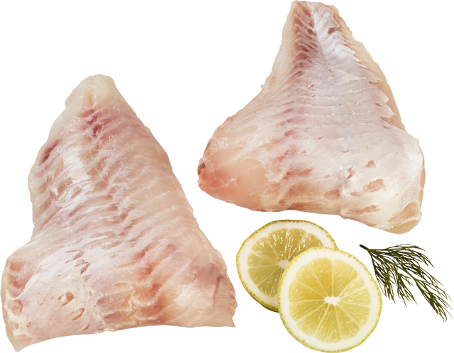 Am Freitag: MSC Isländische Rotbarschfilets