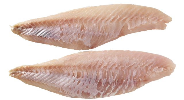 Frische Rotbarschfilets