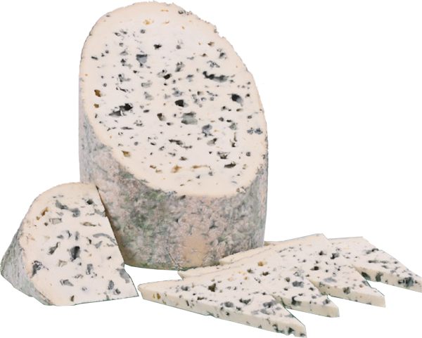 Fourme d'Ambert