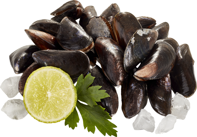 Ab Donnerstag erhältlich: ¹Frische Miesmuscheln 