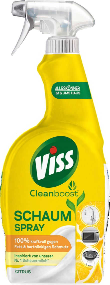 Viss Haushaltsreiniger