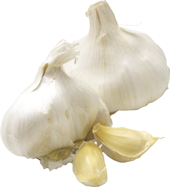 Knoblauch weiß trocken 