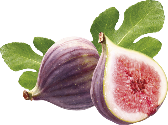 Feigen frisch
