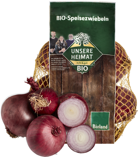 Bio Zwiebeln rot 