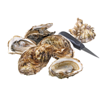 Austern "Fines de Clair"