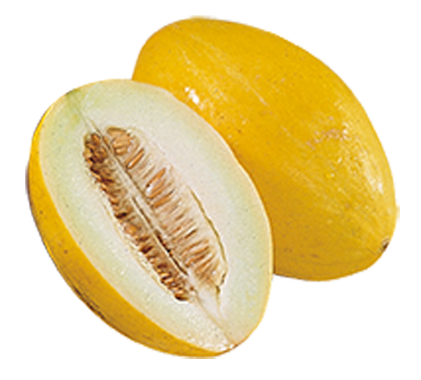 Spanien Honigmelone
