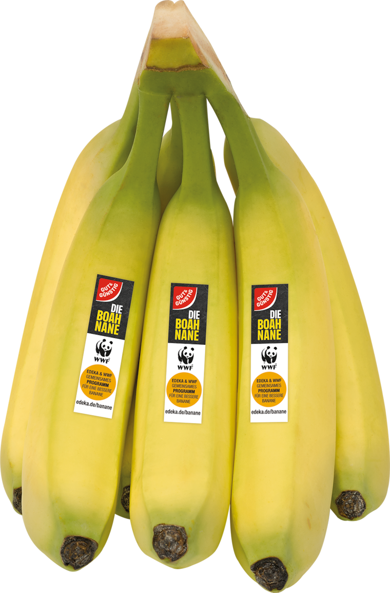 Costa Rica GUT&GÜNSTIG WWF-Bananen