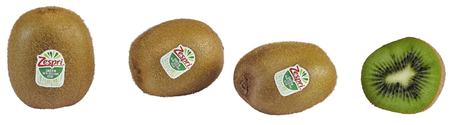 Bio Zespri Kiwi grün