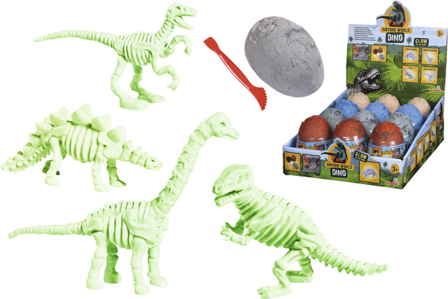 Simba Dino-Skelett im Ei – Ausgrabung