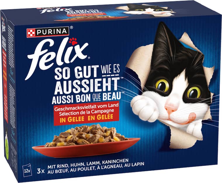 Purina felix Katzennahrung