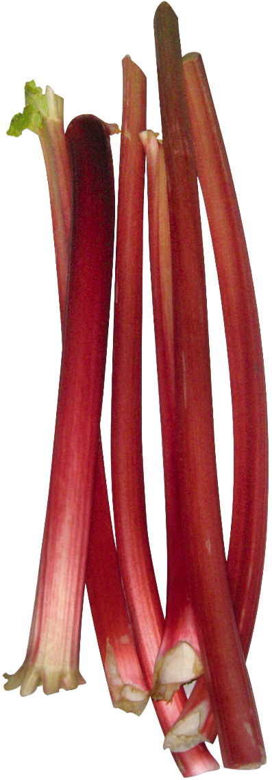 Rhabarber