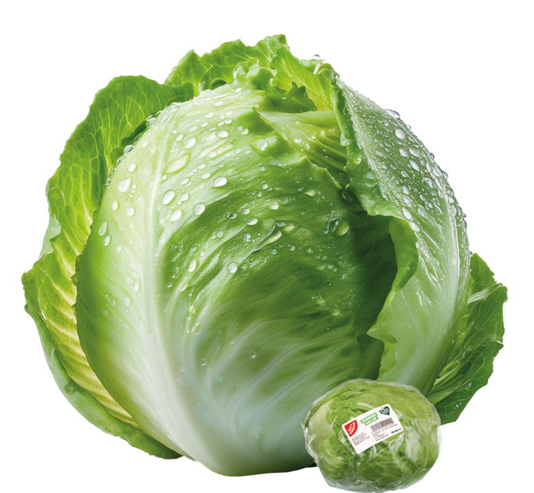 Spanien GUT&GÜNSTIG Eisbergsalat