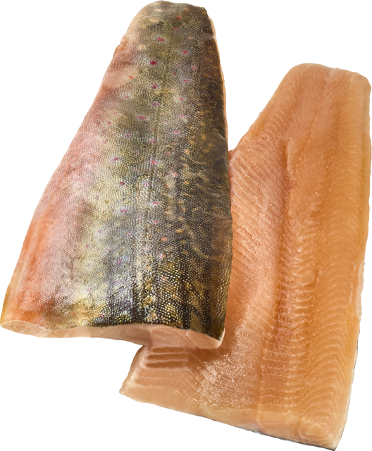 ¹Saiblingsfilets